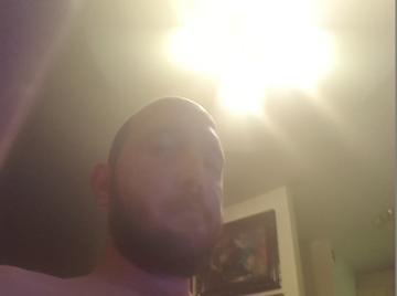 Image thumbnail of Gay bears
