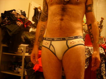Image thumbnail of Gay bears