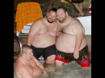 Image thumbnail of Gay bears