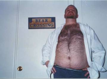 Image thumbnail of Gay bears