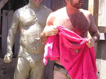 Image thumbnail of Gay bears