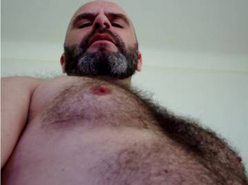 Image thumbnail of Gay bears