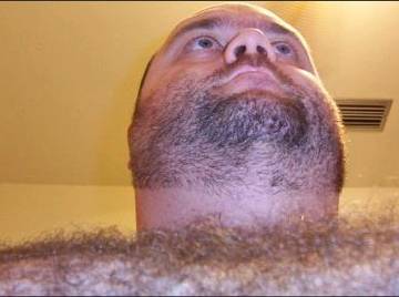 Image thumbnail of Gay bears