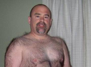 Image thumbnail of Gay bears