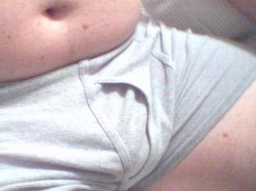 Image thumbnail of Gay bears