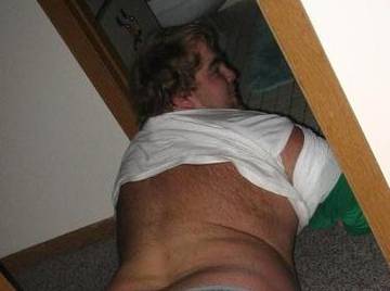 Image thumbnail of Gay bears