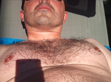 Image thumbnail of Gay bears