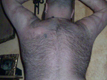 Gay bear - General Backs