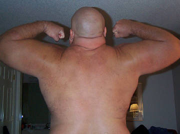 Image thumbnail of Gay bears