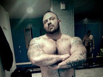 Image thumbnail of Gay bears