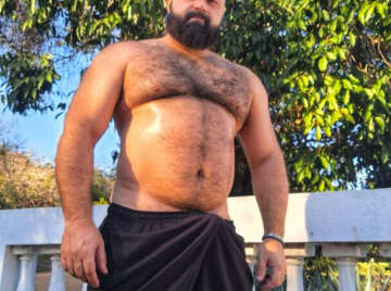 Image thumbnail of Gay bears