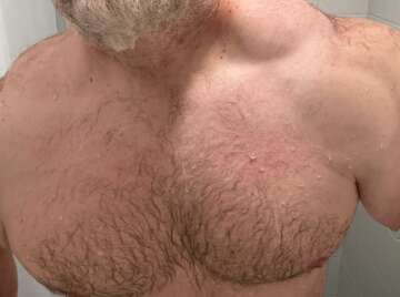 Image thumbnail of Gay bears