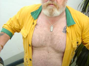 Image thumbnail of Gay bears