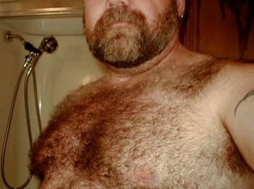 Image thumbnail of Gay bears