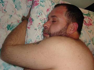 Image thumbnail of Gay bears