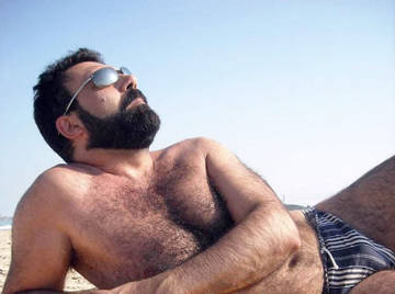 Image thumbnail of Gay bears