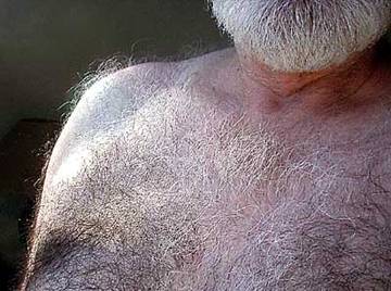 Image thumbnail of Gay bears