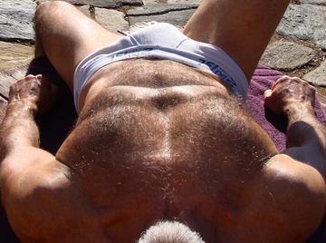 Image thumbnail of Gay bears