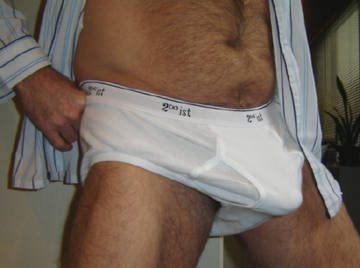 Image thumbnail of Gay bears