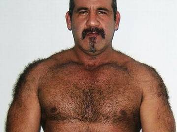 Image thumbnail of Gay bears