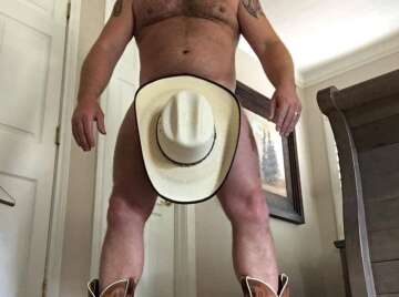 Image thumbnail of Gay bears