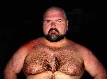 Image thumbnail of Gay bears