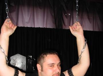 Image thumbnail of Gay bears