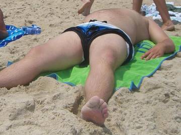 Image thumbnail of Gay bears