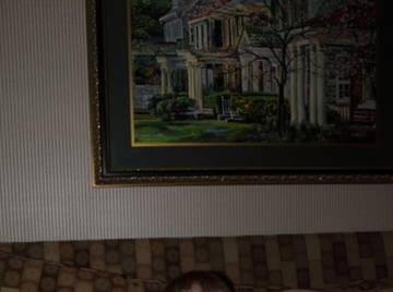 Image thumbnail of Gay bears