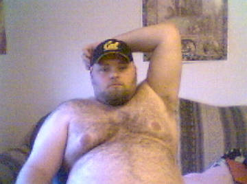 Image thumbnail of Gay bears