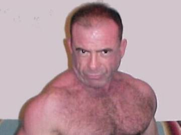 Image thumbnail of Gay bears