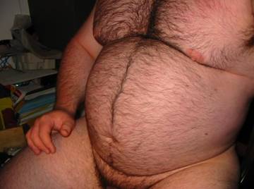 Image thumbnail of Gay bears