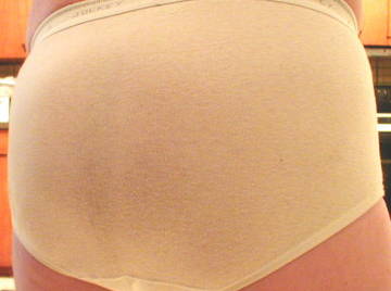 Image thumbnail of Gay bears