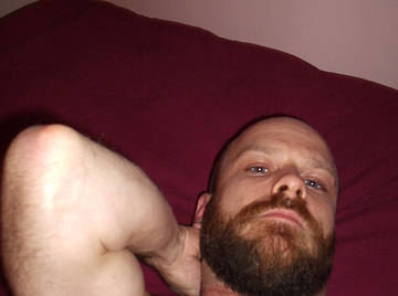 Image thumbnail of Gay bears