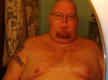 Image thumbnail of Gay bears