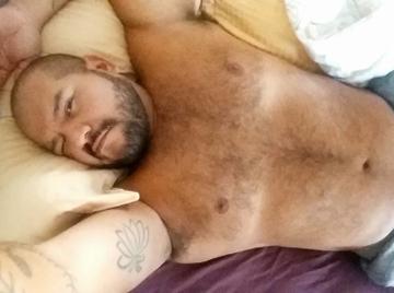 Image thumbnail of Gay bears