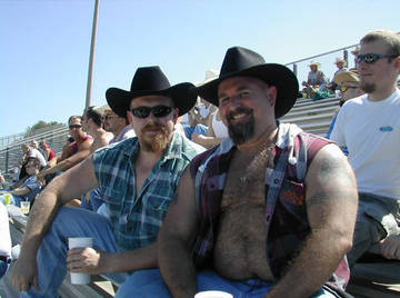 Image thumbnail of Gay bears