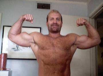 Image thumbnail of Gay bears