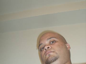 Image thumbnail of Gay bears