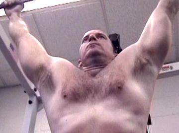 Image thumbnail of Gay bears