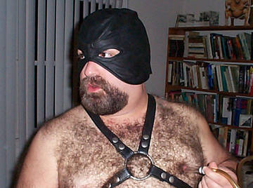 Image thumbnail of Gay bears