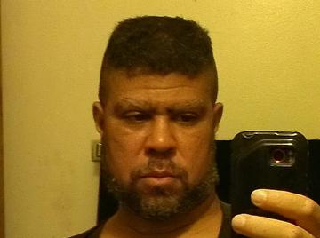 Image thumbnail of Gay bears