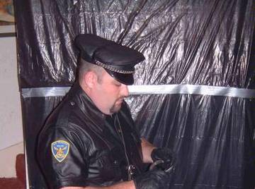 Image thumbnail of Gay bears