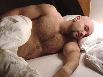 Image thumbnail of Gay bears