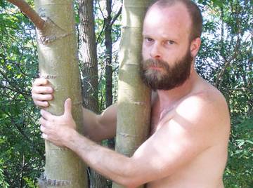 Image thumbnail of Gay bears