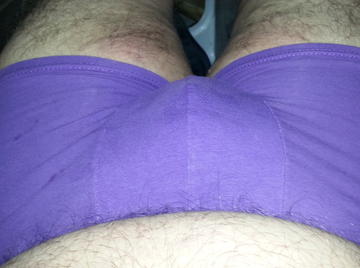 Image thumbnail of Gay bears