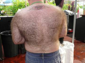 Image thumbnail of Gay bears