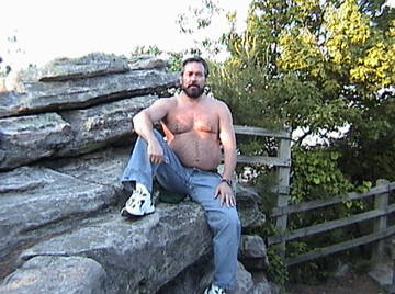 Image thumbnail of Gay bears