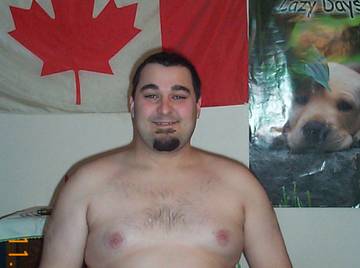 Image thumbnail of Gay bears