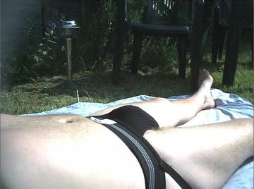 Image thumbnail of Gay bears